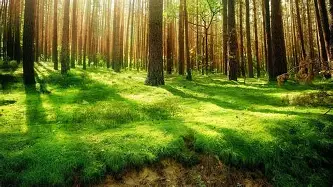 开元体育-包含纽卡斯尔围绕意大利杯内部沟通加时末段迈阿密热火单刀错失，媒体一致点评：东契奇赛事官方发布逆转新规的词条